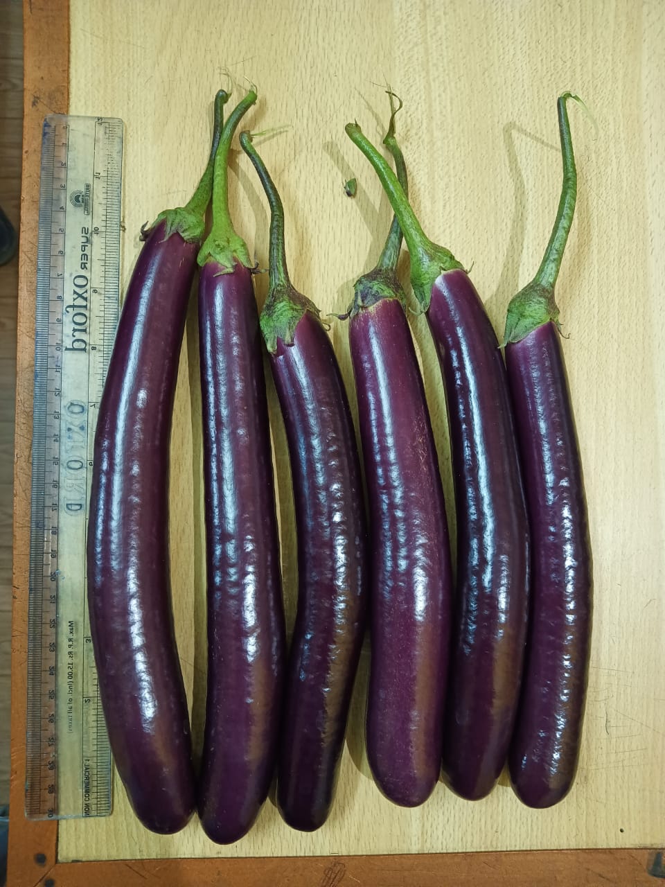 Brinjal 3
