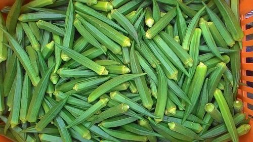 Okra
