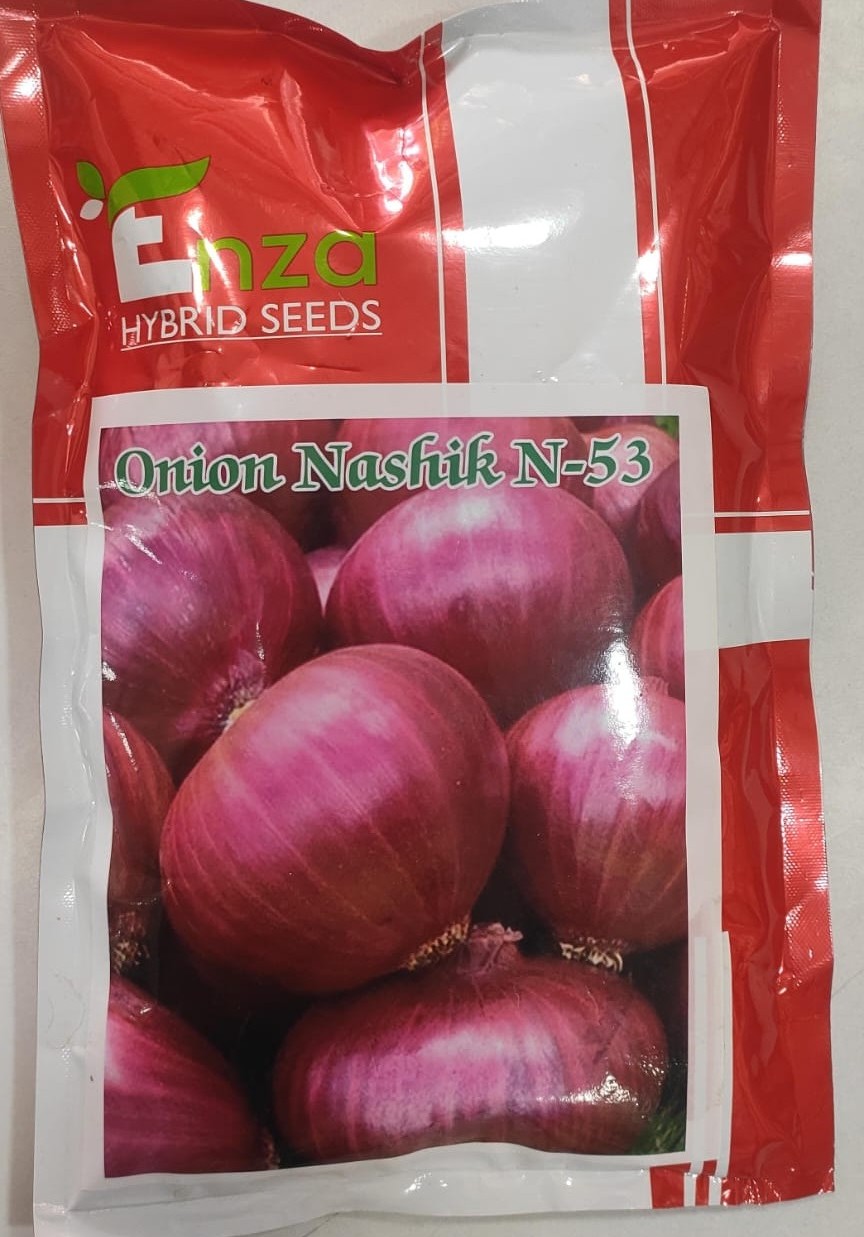 Onion Seeds