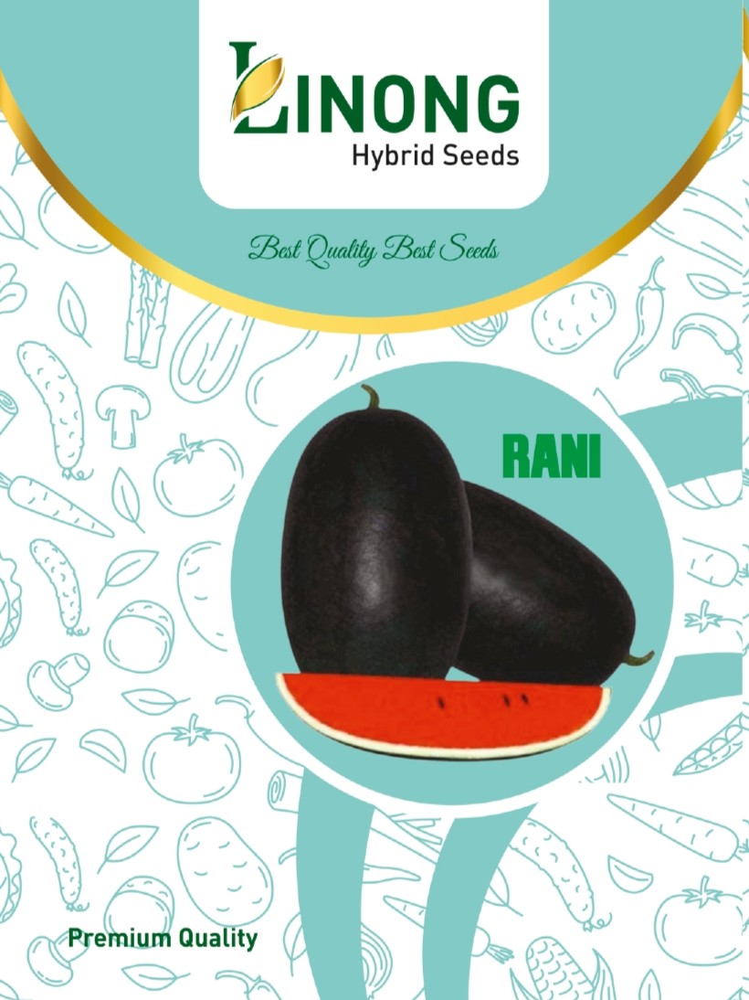 Watermelon Crimson Burst