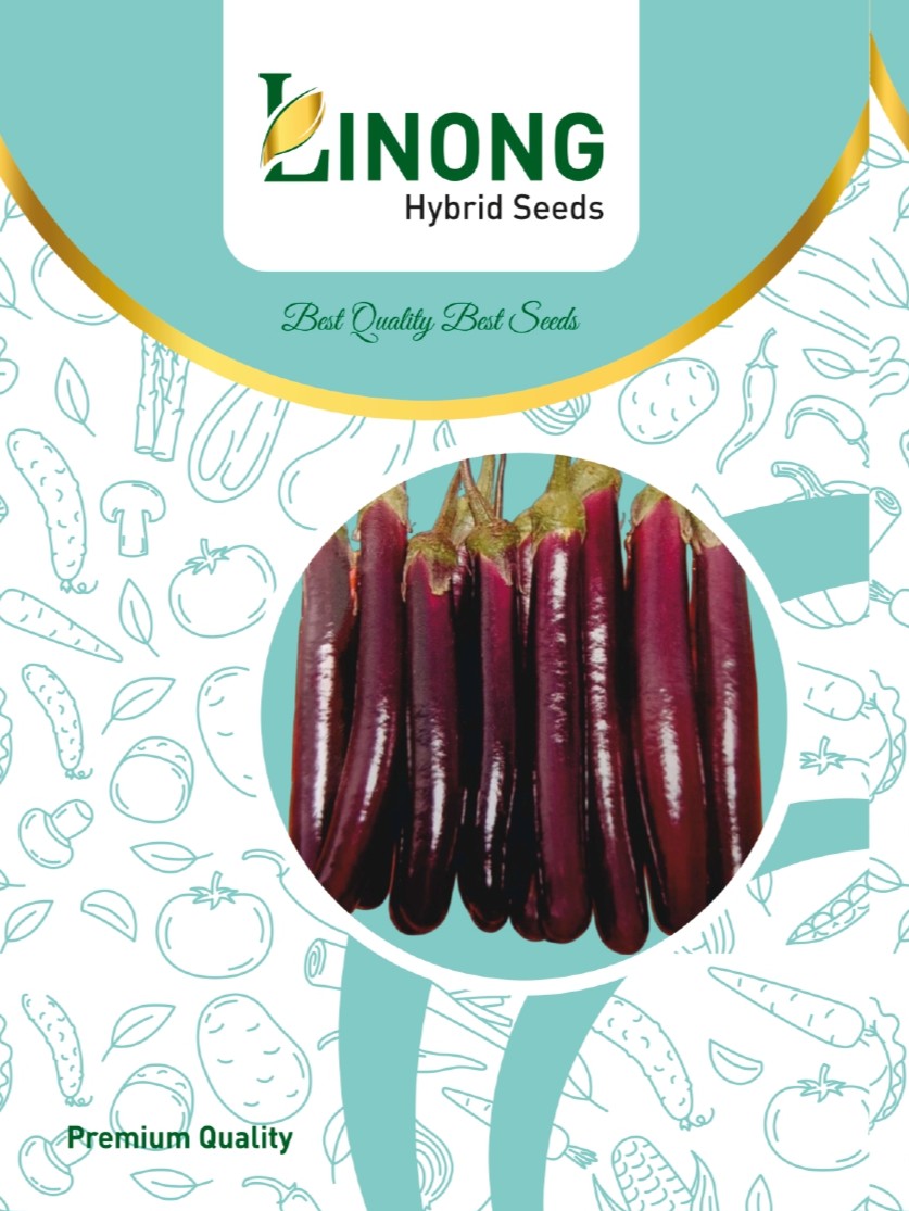 Brinjal Heirloom Purple