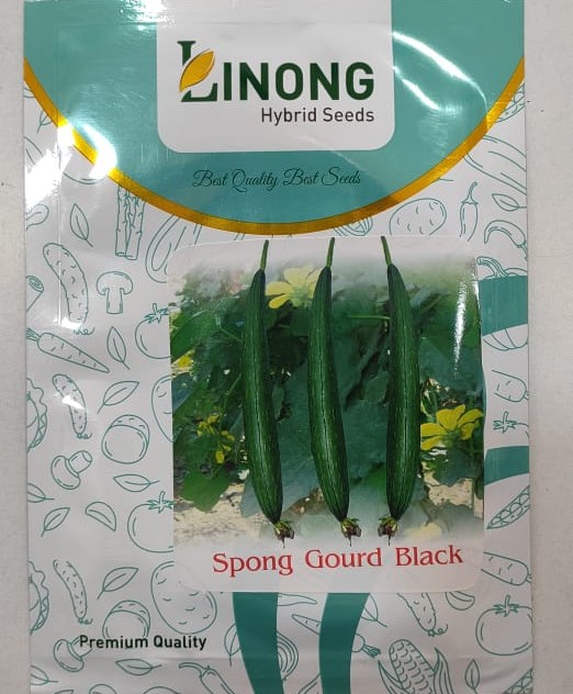 Sponge Gourd Black Long
