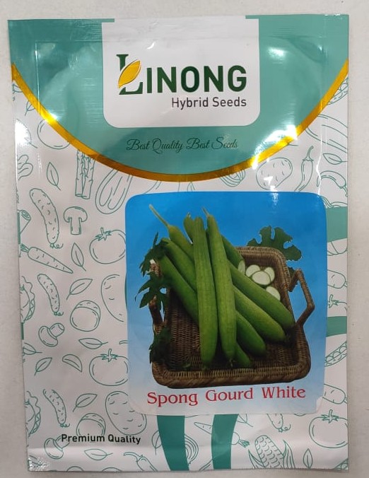 Sponge Gourd White Long